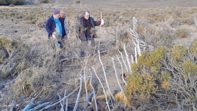 El abandonado cementerio