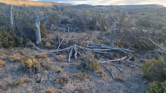El abandonado cementerio