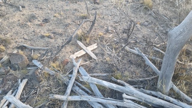 El abandonado cementerio y una de sus humildes cruces