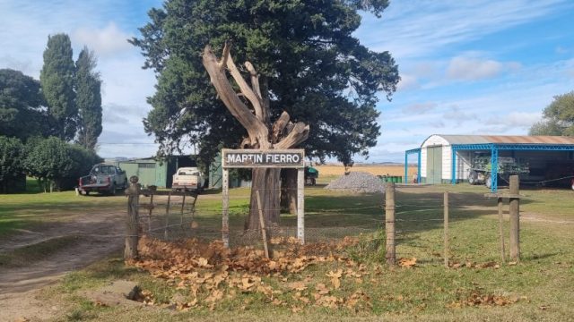 Martín Fierro